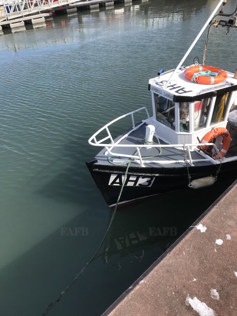 26 feet Clinker (built in Ireland 1988)