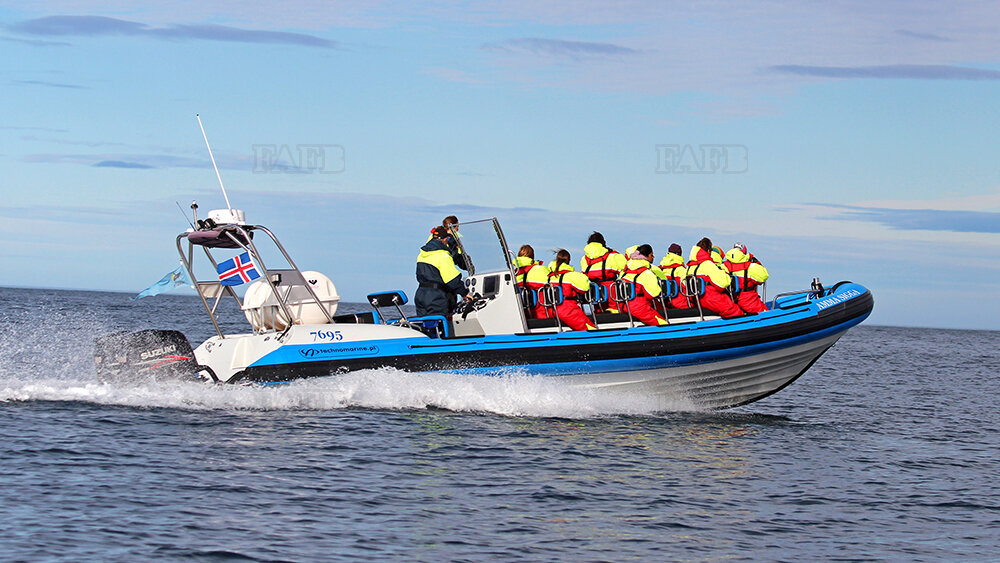 RIB - Technomarine 10m